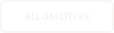 BILDMOTIVE